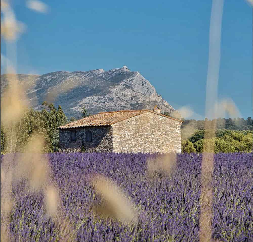 Aix en Provence_lavanda